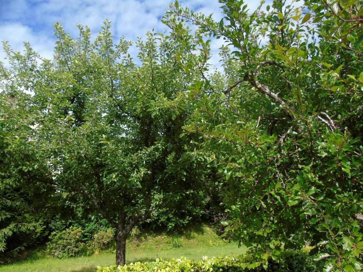 Maison L'Hirondelle Rustique A Tournavaux מראה חיצוני תמונה