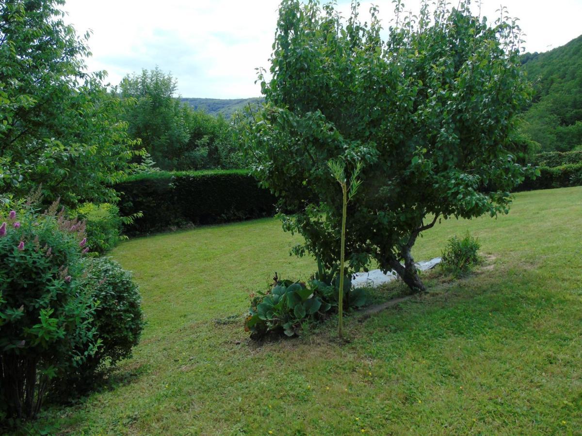 Maison L'Hirondelle Rustique A Tournavaux מראה חיצוני תמונה