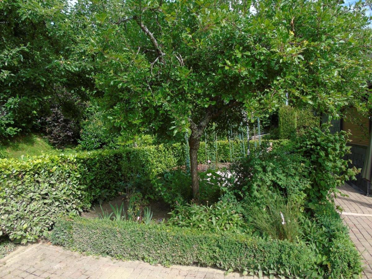 Maison L'Hirondelle Rustique A Tournavaux מראה חיצוני תמונה